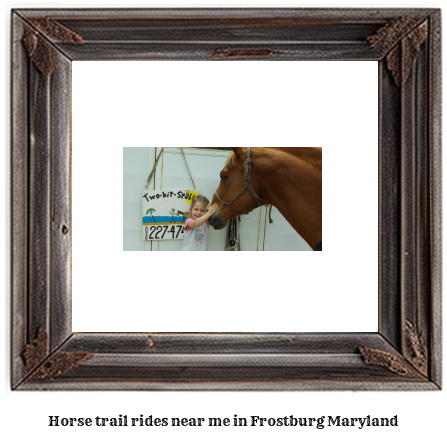 horse trail rides near me in Frostburg, Maryland